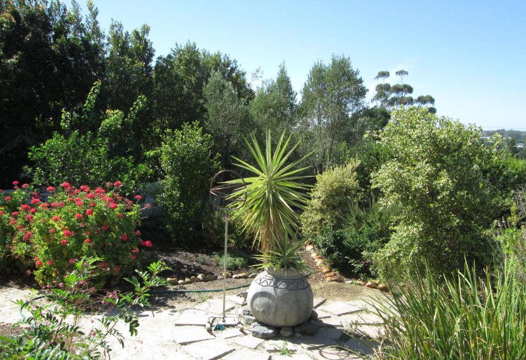 Impangele Guest House Swellendam Exterior photo